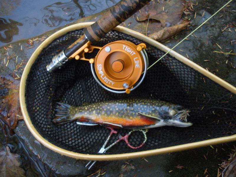 More Reel-ly Cool Information - Fly Fisherman