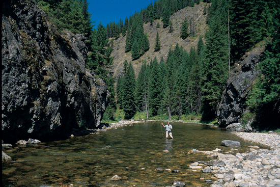 Fly Fishing Idaho's Kelly Creek - Fly Fisherman