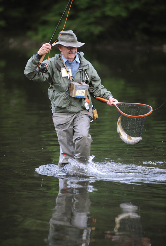 Allegheny Brown Trout - Fly Fisherman