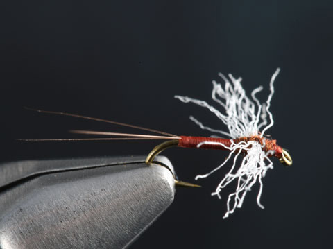 Fly Tying the Rusty Spinner Fly
