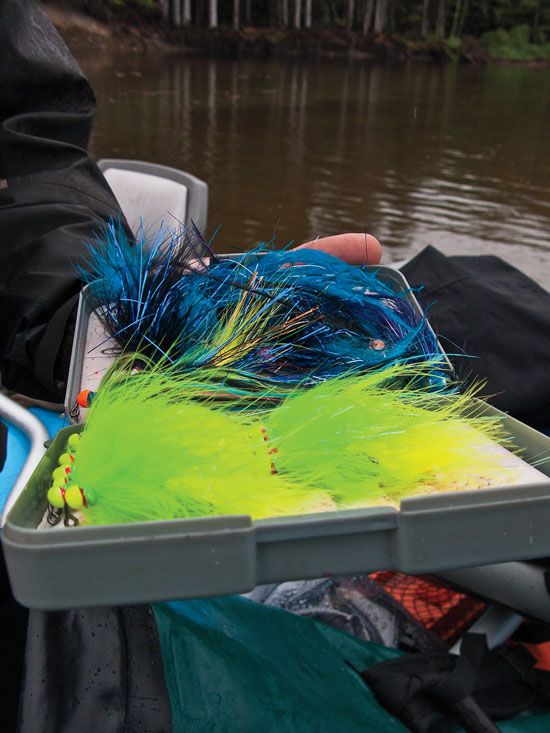http://www.flyfisherman.com/files/2014/03/Chinook-Salmon-Fly-Colors-Fly-Fisherman.jpg