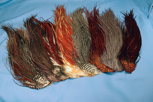  Dry-Fly Hackle 