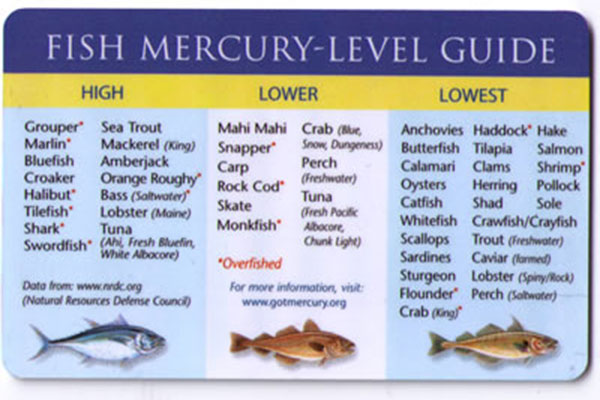 Mercury in Fish Chart 