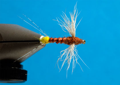 Fly Tying The Footwing Spinner