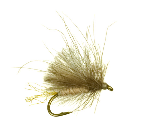 Corn Fed Caddis: Tying this Fly of Choice