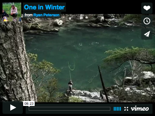 Winter Steelhead Film, One in Winter: By Ryan Peterson