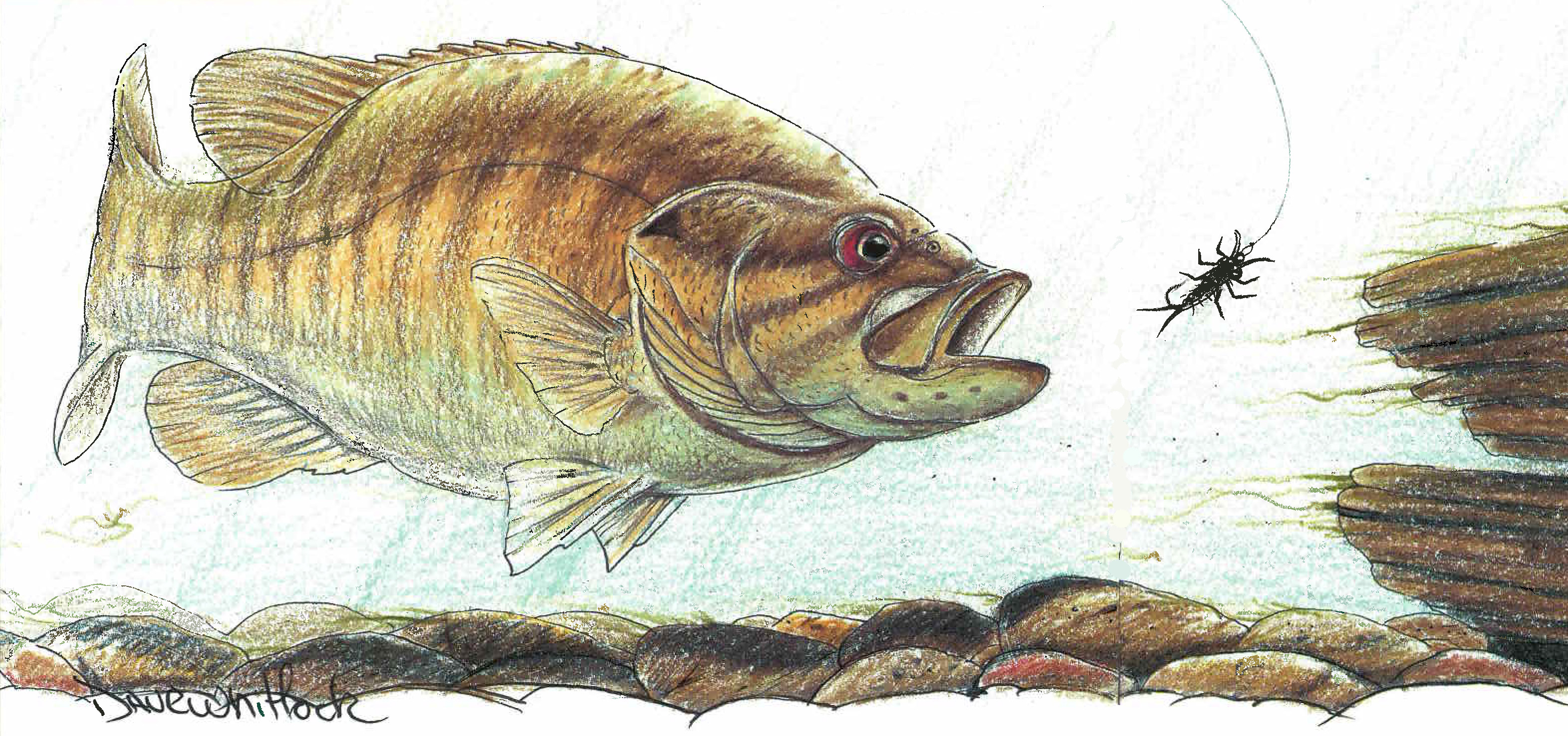 Nymphing for Smallmouth Bass