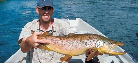South Holston Hatches: Savor the Success of Big Tennessee Trout on a Dry Fly