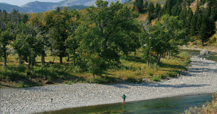 Alberta's Oldman River: An Abundance of Trout Water in a Dramatic Setting