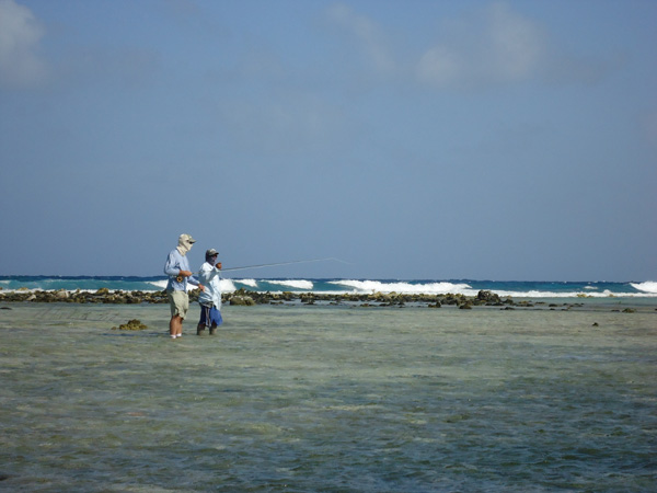 Turneffe Atoll Declared a Marine Preserve