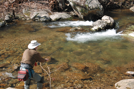 Best Shenandoah Streams for Fly Anglers