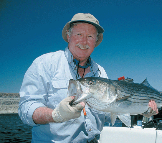 Fly Fishing for Inland Striped Bass