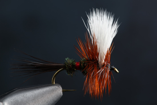 Fly Tying The Royal Wulff