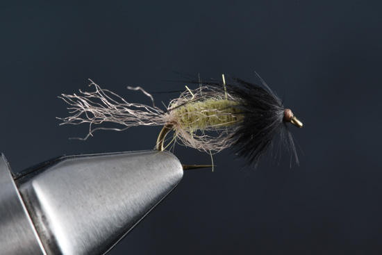 Fly Tying: Sparkle Caddis Pupae - Fly Fisherman