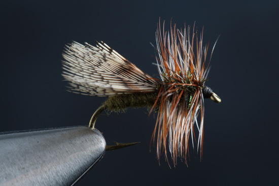 Fly Tying The Spent Partridge Caddis