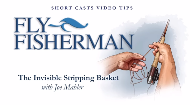 How to Create an Invisible Stripping Basket