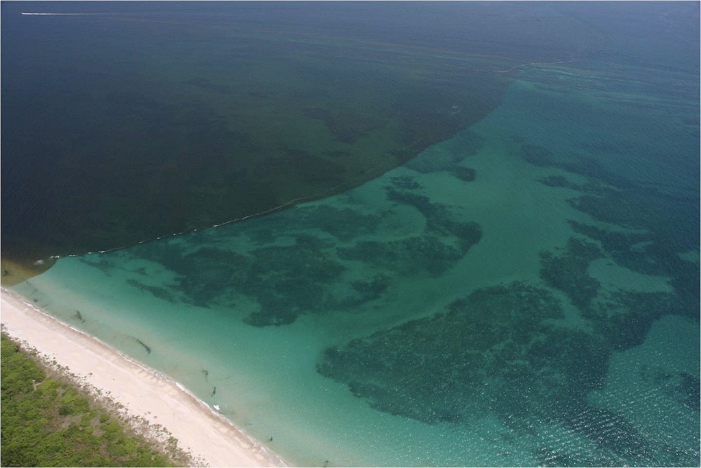Florida's Black Tide: Crisis at Indian River Lagoon and Pine Island Sound