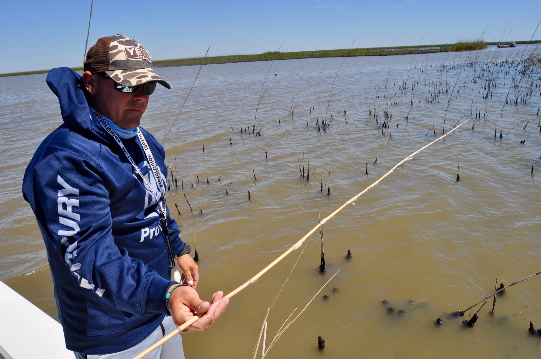 Invasive Aphids are Destroying the Best Redfish Marshes on the Planet