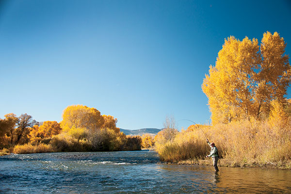 Fly Fishing the Upper Rio Grande: Colorado's Best-Kept Secre - Fly Fisherman
