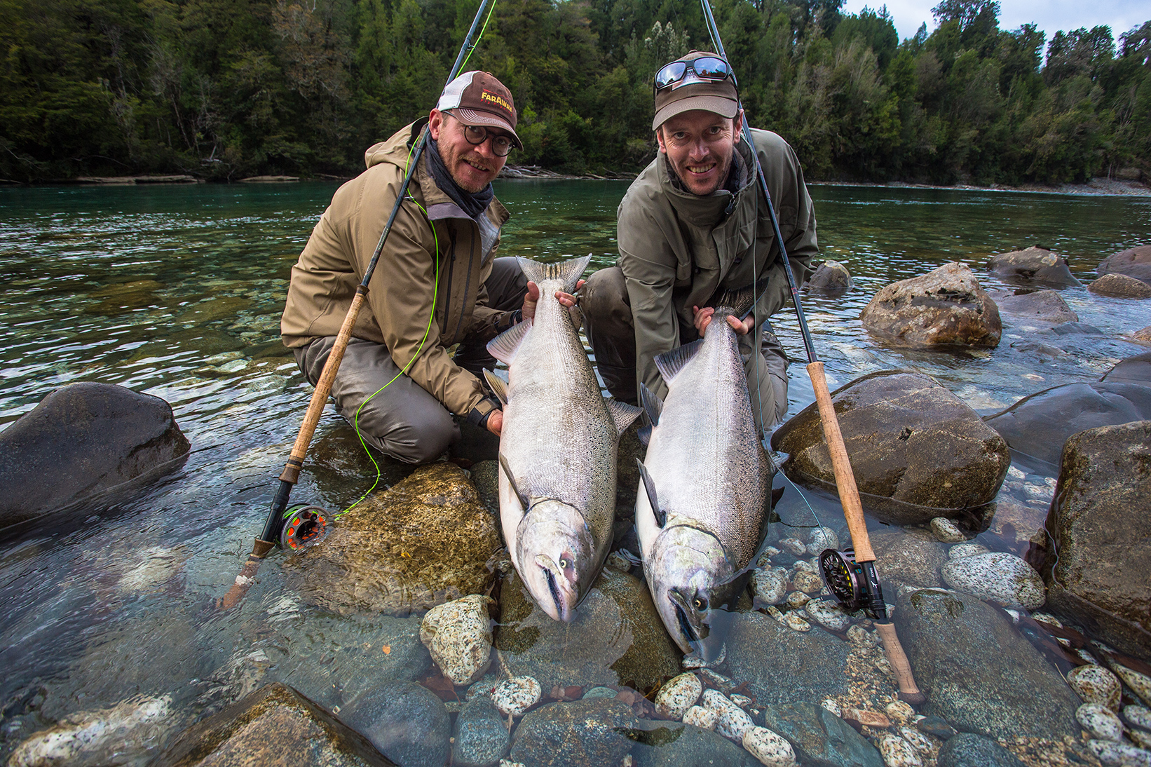 Salmon in Patagonia Show Diverse Lineage